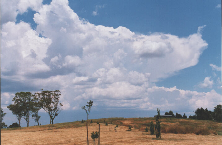 cumulus mediocris : Lithgow, NSW   13 December 1998