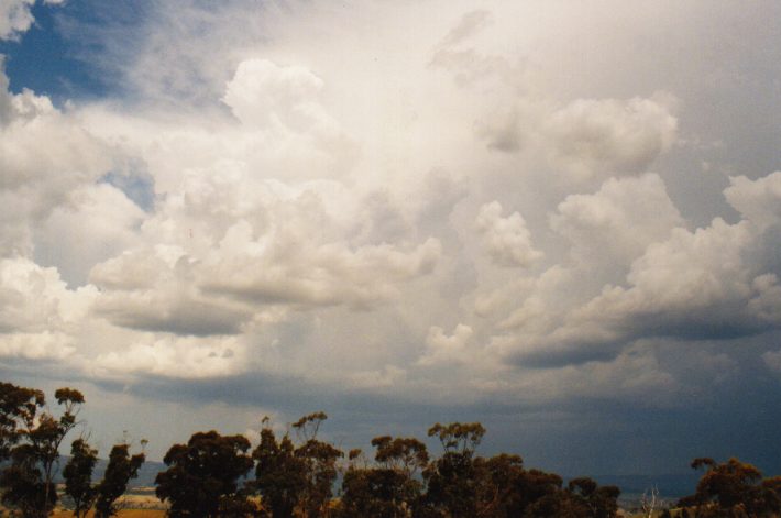 thunderstorm cumulonimbus_incus : Jenolan Caves Rd, NSW   13 December 1998