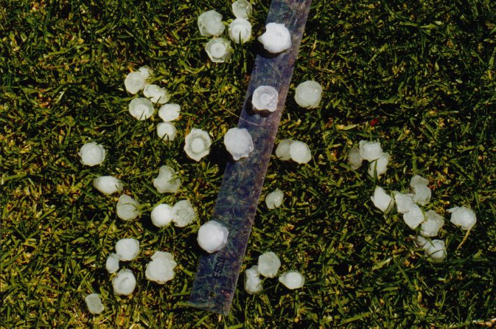 hailstones hail_stones : Lake Cattai, NSW   19 December 1998