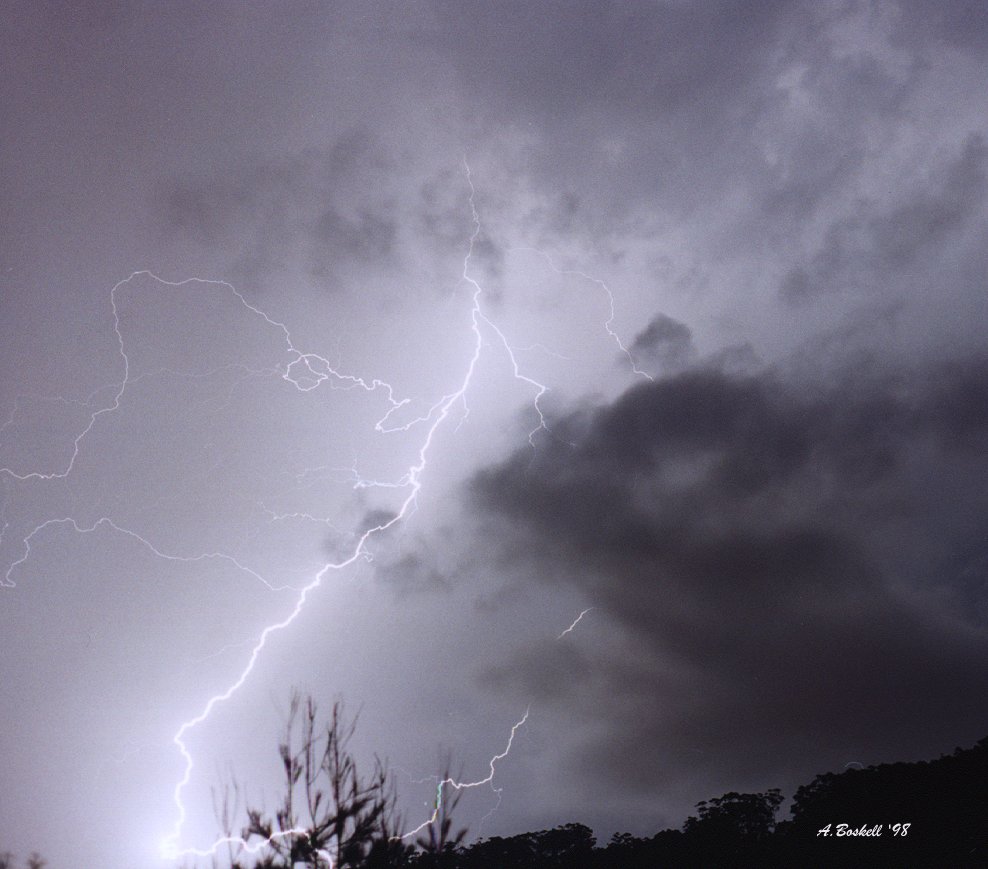 contributions received : Latrobe, TAS<BR>Photo by Andrew Boskell   24 December 1998