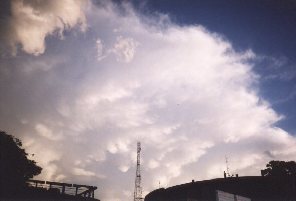 contributions received : Boronia, VIC<BR>Photo by David Jeffrey   24 December 1998