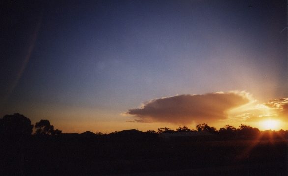 contributions received : Boronia, VIC<BR>Photo by David Jeffrey   24 December 1998