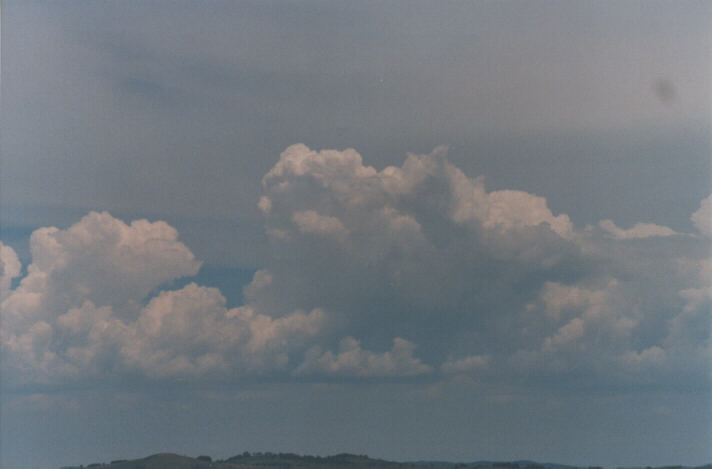cumulus congestus : Lithgow, NSW   26 December 1998