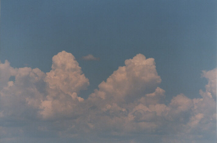 cumulus congestus : Lithgow, NSW   26 December 1998