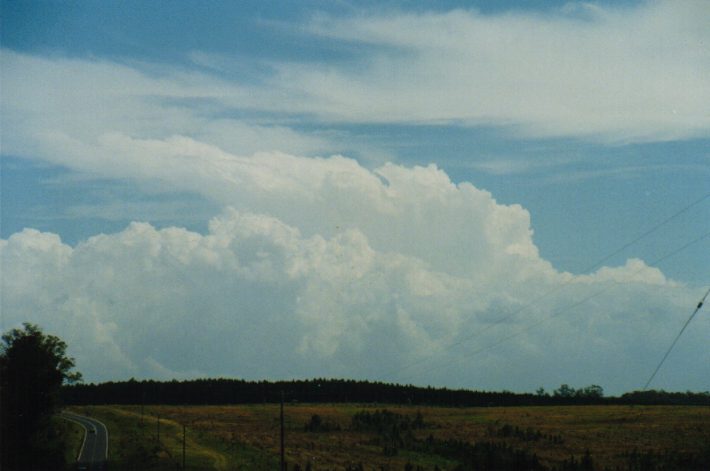 cumulus congestus : N of Grafton, NSW   30 December 1998