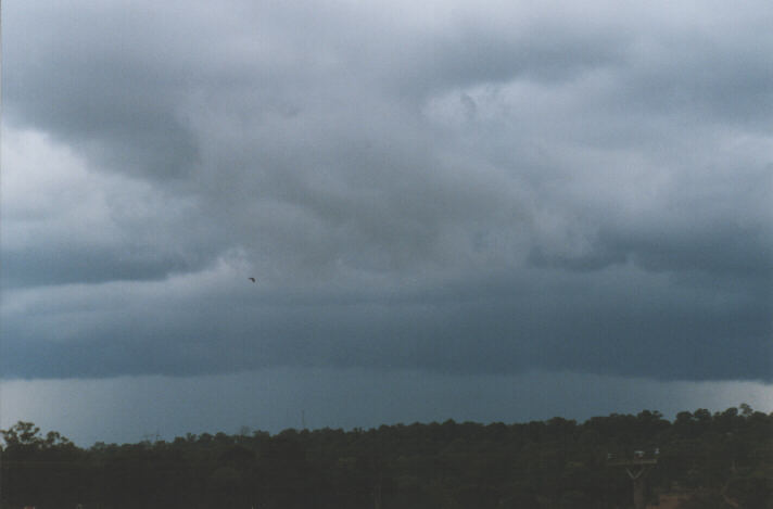 raincascade precipitation_cascade : Schofields, NSW   1 January 1999