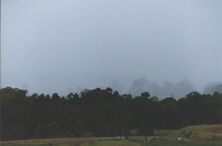 raincascade precipitation_cascade : Schofields, NSW   1 January 1999