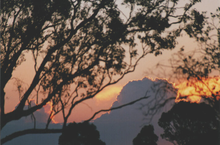 sunset sunset_pictures : Schofields, NSW   3 January 1999