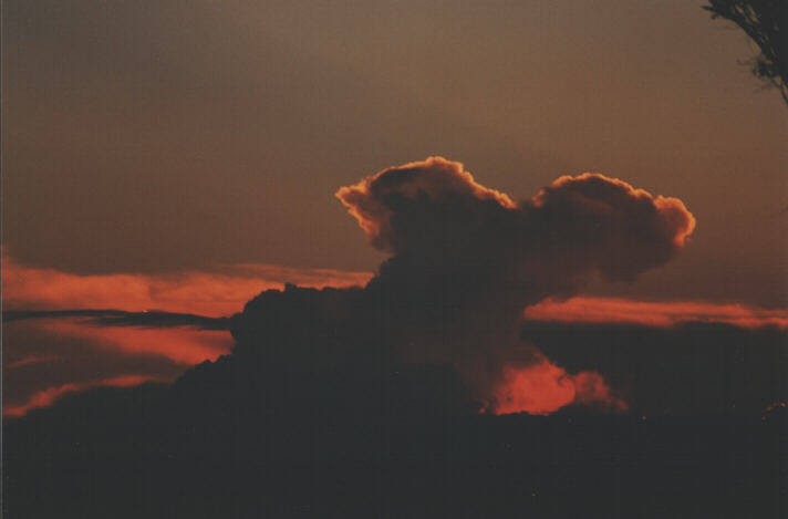 thunderstorm cumulonimbus_calvus : Schofields, NSW   3 January 1999