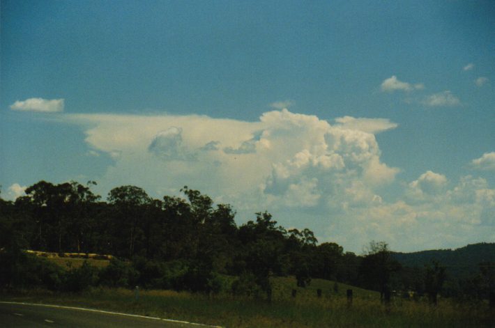 cumulus congestus : near Putty, NSW   3 January 1999