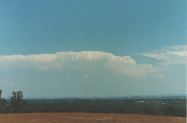 thunderstorm cumulonimbus_incus : Kemps Creek, NSW   19 January 1999