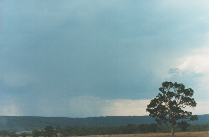 raincascade precipitation_cascade : Mulgoa, NSW   19 January 1999