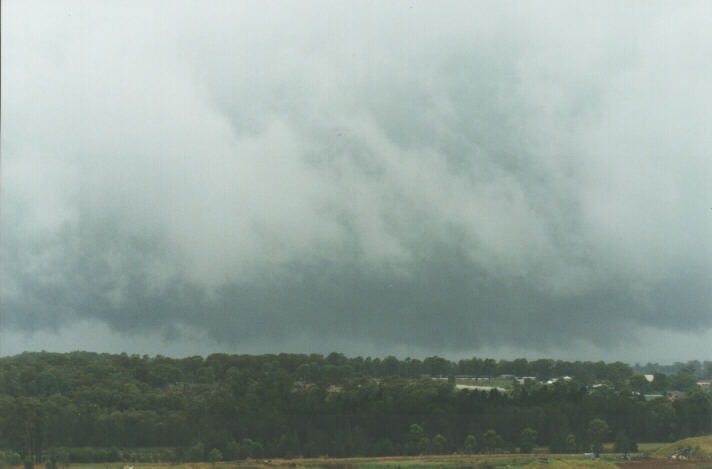 nimbostratus nimbostratus_cloud : Schofields, NSW   22 January 1999