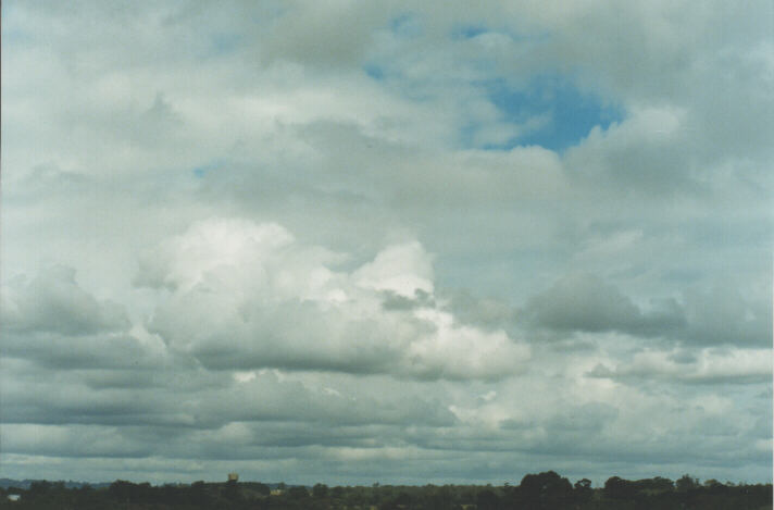 altocumulus altocumulus_cloud : Schofields, NSW   27 January 1999