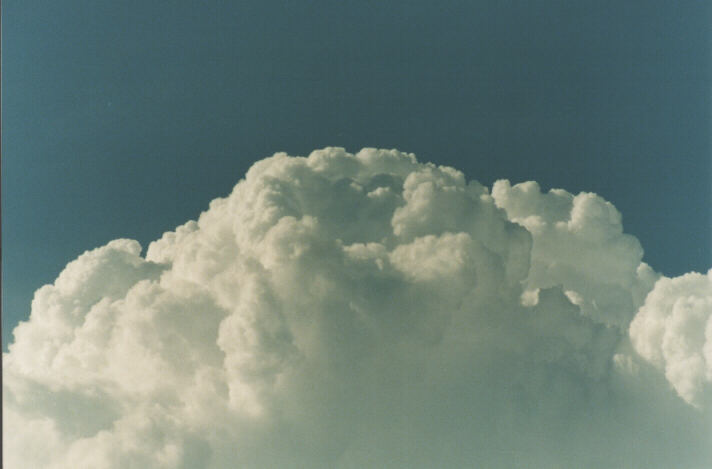 thunderstorm cumulonimbus_calvus : Rooty Hill, NSW   29 January 1999