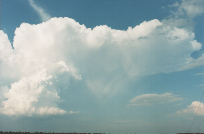 thunderstorm cumulonimbus_incus : Schofields, NSW   29 January 1999