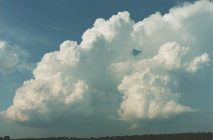 updraft thunderstorm_updrafts : Schofields, NSW   29 January 1999