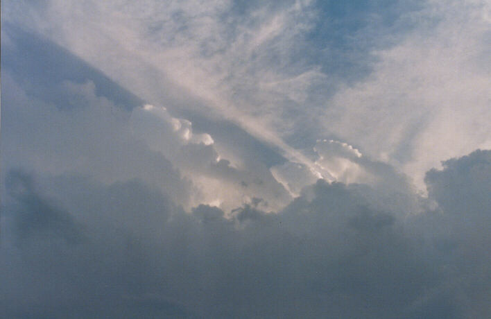 thunderstorm cumulonimbus_calvus : Schofields, NSW   29 January 1999