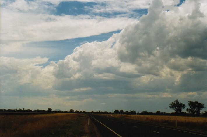 cumulus congestus : S of Breeza, NSW   30 January 1999
