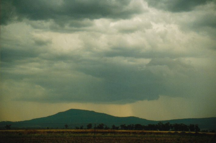 cumulonimbus thunderstorm_base : Curlewis, NSW   30 January 1999