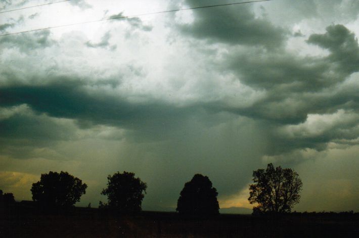 raincascade precipitation_cascade : Curlewis, NSW   30 January 1999