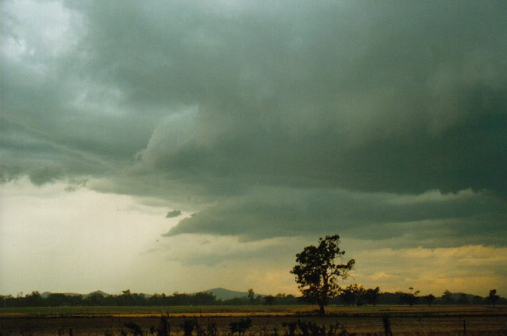 cumulonimbus thunderstorm_base : NW of Gunnedah, NSW   30 January 1999