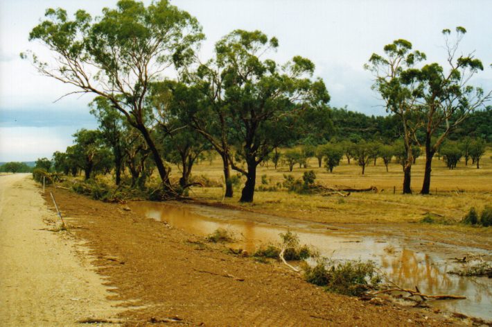 disasters storm_damage : NW of Boggabri, NSW   30 January 1999