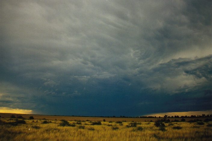 mammatus mammatus_cloud : S of Moree, NSW   30 January 1999