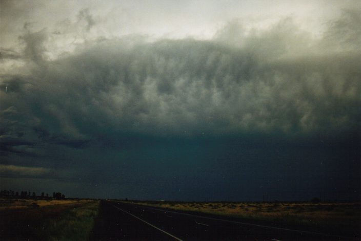 mammatus mammatus_cloud : S of Moree, NSW   30 January 1999