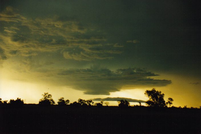 cumulonimbus thunderstorm_base : W of Moree, NSW   30 January 1999