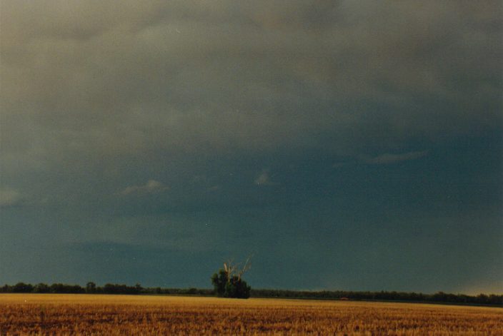 cumulonimbus thunderstorm_base : W of Moree, NSW   30 January 1999