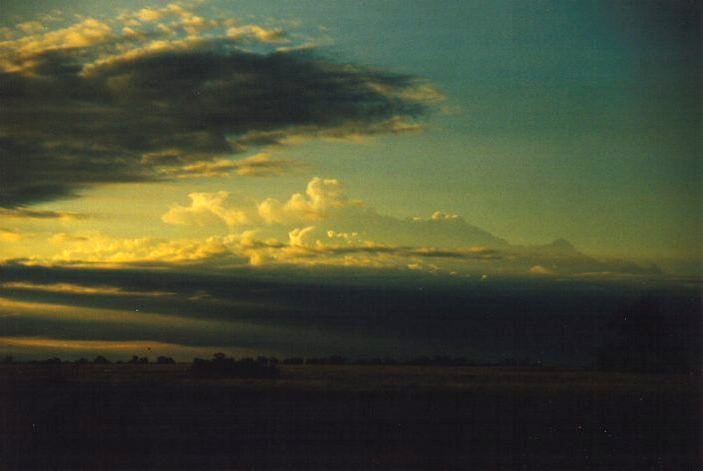 cumulus congestus : E of Moree, NSW   31 January 1999