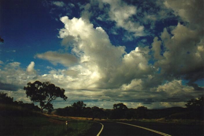 cumulus mediocris : S of Barraba, NSW   31 January 1999