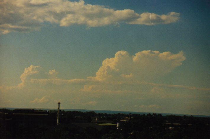 cumulus congestus : Rooty Hill, NSW   3 March 1999