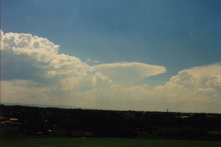 cumulus congestus : Rooty Hill, NSW   4 March 1999