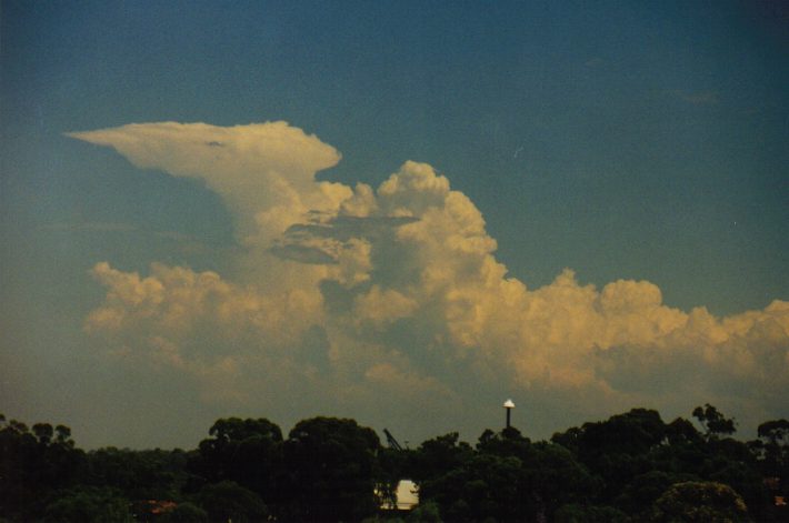 anvil thunderstorm_anvils : Rooty Hill, NSW   4 March 1999