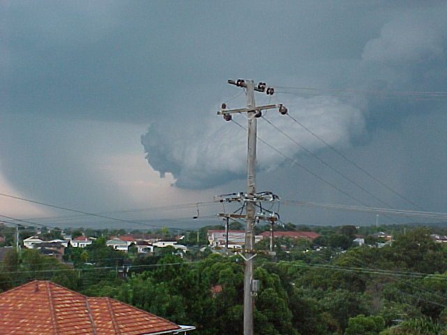 contributions received : Charlestown, NSW<BR>Photo by Rob Lord   4 March 1999