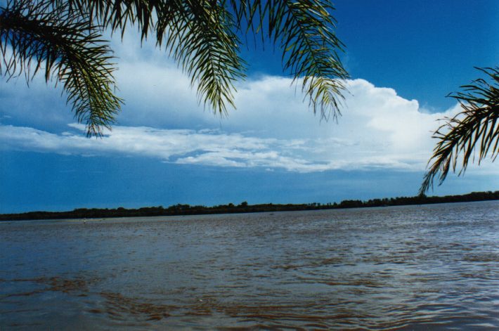 contributions received : Ballina, NSW<BR>Photo by John Bath   5 March 1999