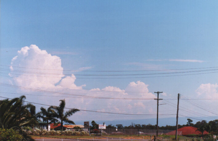 cumulus congestus : Schofields, NSW   13 March 1999