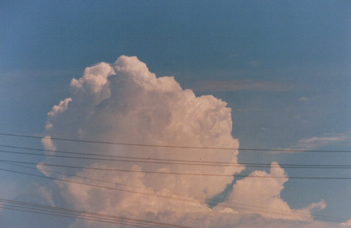 thunderstorm cumulonimbus_calvus : Schofields, NSW   13 March 1999