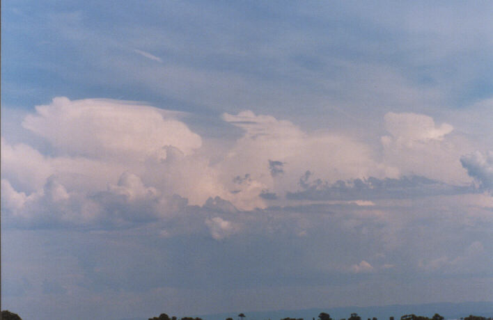 thunderstorm cumulonimbus_incus : Rooty Hill, NSW   13 March 1999
