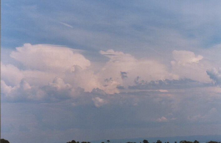 pileus pileus_cap_cloud : Rooty Hill, NSW   13 March 1999