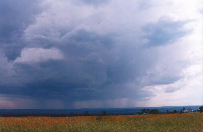 raincascade precipitation_cascade : Luddenham, NSW   13 March 1999