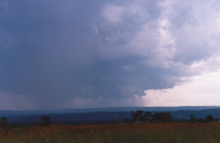 raincascade precipitation_cascade : Luddenham, NSW   13 March 1999