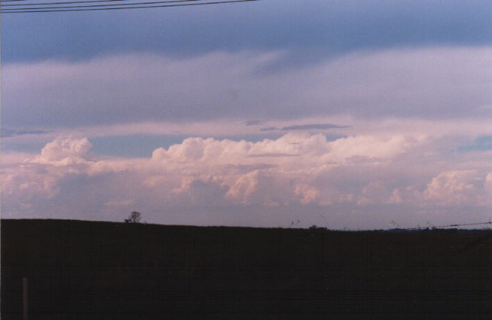 thunderstorm cumulonimbus_incus : Luddenham, NSW   13 March 1999