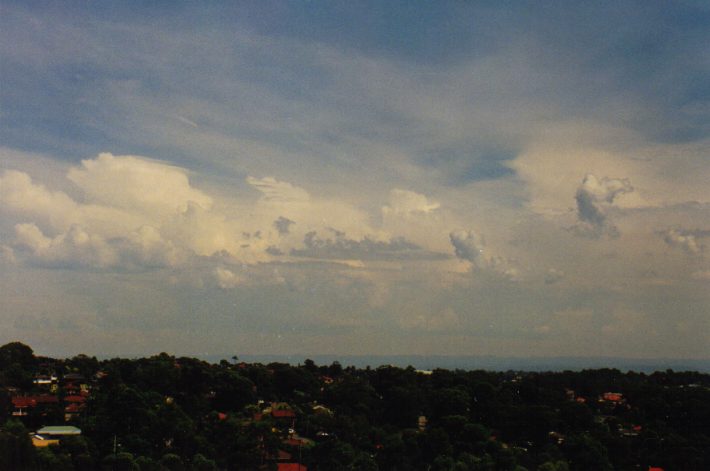 thunderstorm cumulonimbus_calvus : Rooty Hill, NSW   13 March 1999