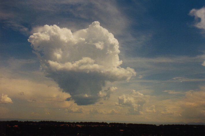 pileus pileus_cap_cloud : Rooty Hill, NSW   13 March 1999