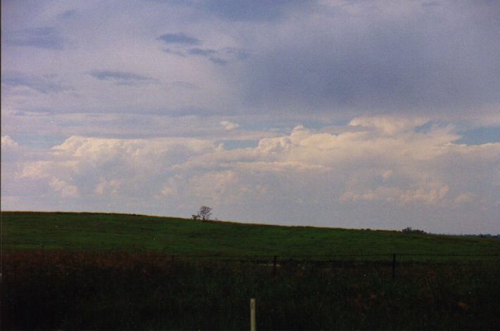 altostratus altostratus_cloud : Luddenham, NSW   13 March 1999