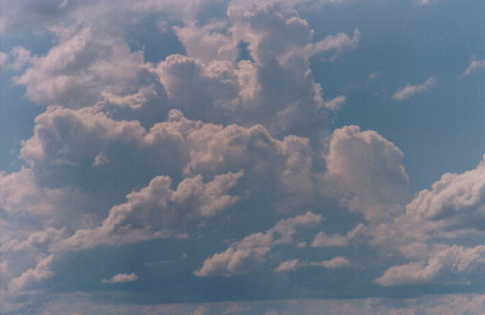 thunderstorm cumulonimbus_calvus : Schofields, NSW   14 March 1999