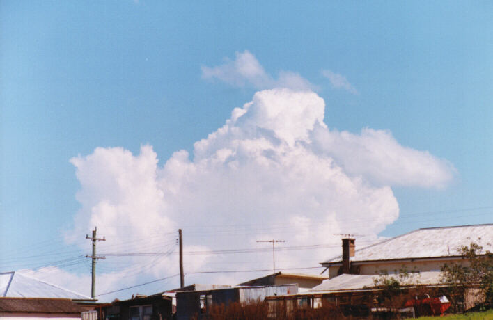 thunderstorm cumulonimbus_calvus : Schofields, NSW   14 March 1999